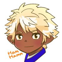ヒカセンのはむ (@hamhamm2501) Twitter profile photo