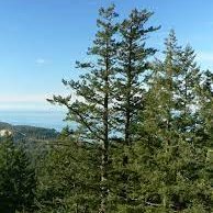 إبراهيم محمد (@swaaaat911) 's Twitter Profile