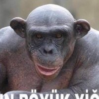 Meak (@motiwavee) 's Twitter Profile
