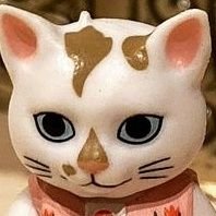 Pipocooooo's profile picture.
