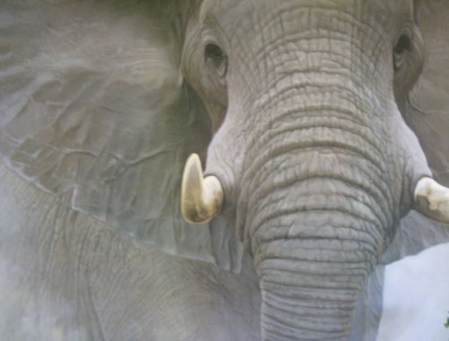 urfugl's profile picture. Es dauerte Milliarden Jahre einen Menschen zu erschaffen und nur wenige Sekunden zu sterben. J.Gaarder