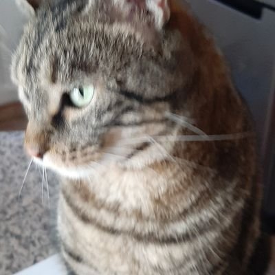 Lombard28159949's profile picture. Rien