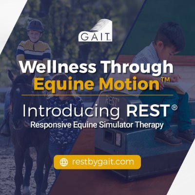 REST is a small therapeutic chair that mimics a walking horse. Endorsed by medical professionals, school districts & parents to help ADHD children.