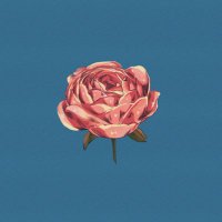 かしま (@mmhgrm) 's Twitter Profile