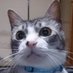 ムネヤス45🍀ぐうたら猫が4匹います🐱🐾 (@muneyasu45) Twitter profile photo ムネヤス45🍀ぐうたら猫が4匹います🐱🐾 (@muneyasu45) Twitter profile photo