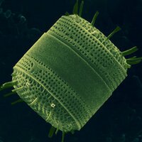 biofabs (@biofabs) 's Twitter Profile
