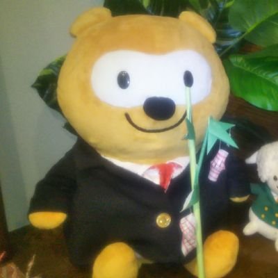 学習垢ですが、よろず垢でもあります🐣
長期受験生の社労士試験に合格しつつ、行政書士など他資格も積み重ねを大切にチームプレーでみんなで合格を目指したいです🏆
・福祉畑の人間で雑学多しの人です
・保有資格:福祉系多数
・メンタル疾患の既往歴があるものの復活した者です✨
・不器用な者ですがよろしくお願います✨🙏