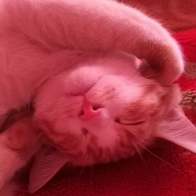 paria19261976's profile picture. 