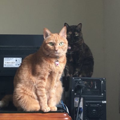 cwyang30's profile picture.
