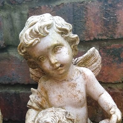 mistakes_grave's profile picture. Where well intentioned epitaphs go to die