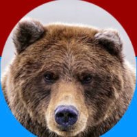 🐻Fuzzy🧸(@BearsProtect) 's Twitter Profile Photo