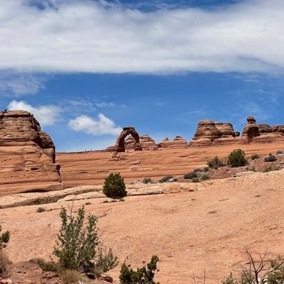 BenjaminJasper9's profile picture. 