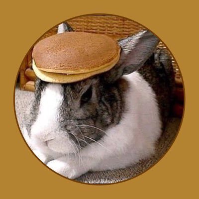 nbdetector's profile picture. neckbearddetector on Twitch  
You're either gonna get music project updates 🎶 
or 
Random thoughts when I'm in-between breaks at work 🤪