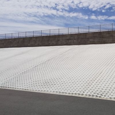 BnGbeMJ24IeCtXm's profile picture. 