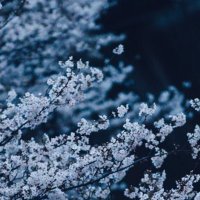 Alexander (@alexawdrg) 's Twitter Profile