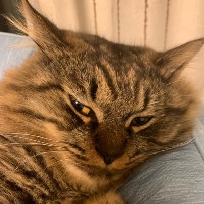 naturalmoon4's profile picture. 