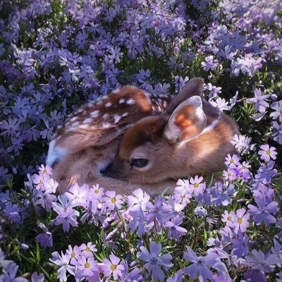 19さんのプロフィール画像