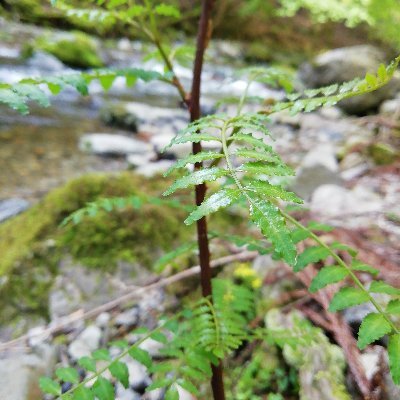 優しい人・背景は自分で撮った写真です
マインクラフトの建築とかをここ最近では上げてます
あとはちょっとした独り言だったり小話をツイートしています
DMなどに関しても一日中暇なので遠慮なく