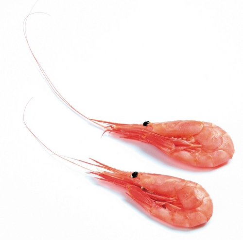 soft_prawn's profile picture. Follow me on a daily journey into the world of soft prawn... deliciously-selected soft porn that could be safe for work. Maybe.