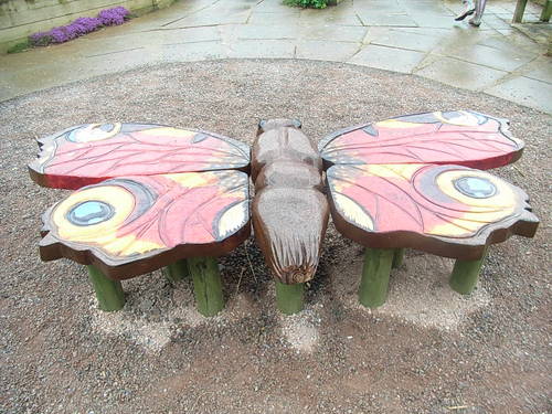 hilary555hill's profile picture. 