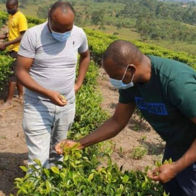 Passionate about Human Nutrition, Climate Smart technologies for Smallholder farmer adaptation & sustainable food systems.
Impacting lives is my purpose.