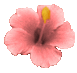Resort Stays (@resortstays) Twitter profile photo Resort Stays (@resortstays) Twitter profile photo