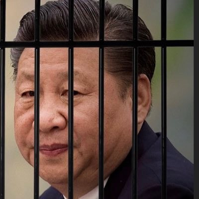 BoXilai2022's profile picture. Bo Xilai 薄熙来 President of China! Make China Great Again! #XiJinpingNotMyPresident Xi released coronavirus, murdered millions & is biggest shame in 5,000 years