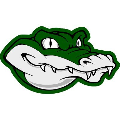 AlligatorsRo Profile Picture