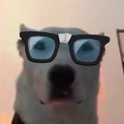 aIexbot's profile picture. read txti for tws!!