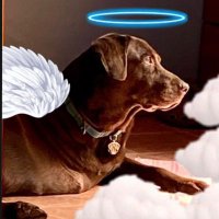 Atreyu (@atreyu_san) 's Twitter Profile Photo Atreyu (@atreyu_san) 's Twitter Profile Photo
