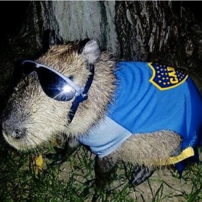 Raulviz_'s profile picture. 