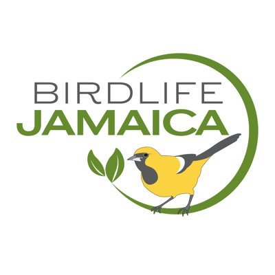 Birdlife Jamaica is a non-profit organization committed to the conservation of Jamaica's birds and their habitats IG @birdlifejamaica FB @birdlifejamaica