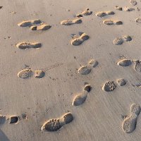 blacksanshoes (@blacksanshoes) 's Twitter Profile