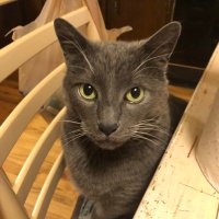 Ann Dugan. (@anndugan10) 's Twitter Profile