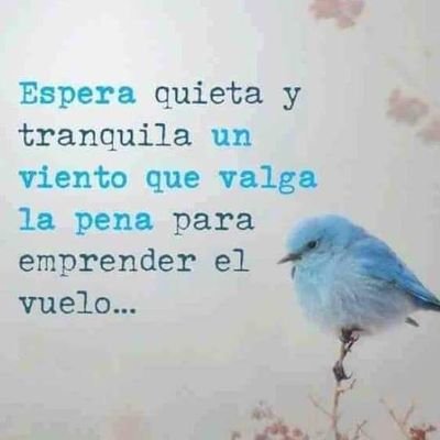 Si tu presencia conmigo no va
Yo no voy a ningún lugar, no quiero llegar
No voy a llegar...♥️