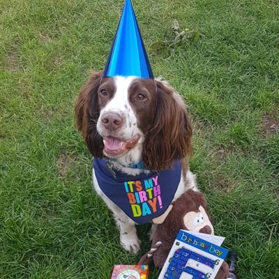 s_wnewbie's profile picture. 