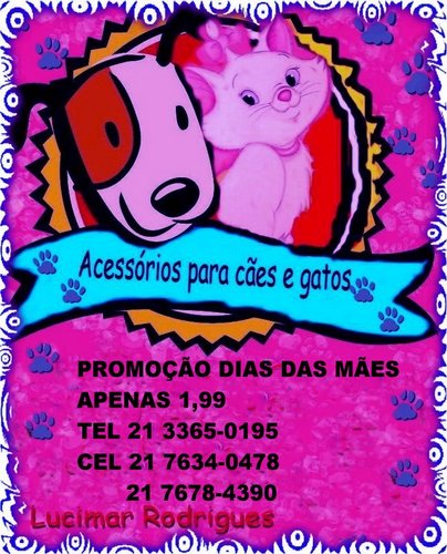 TRABALHO COM ROUPAS E ACESSORIOS DESCARTAVEL PARA SEU PET ACESSORIOS PARA CAES E GATOS. FALAR COM LUCIMAR
 21 33650195  21 7678490 21 76340478
