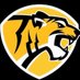 Edison_Computech_Athletics (@CTAthleticsFUSD) Twitter profile photo