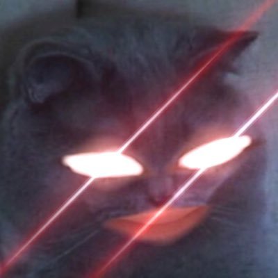 Bifflutte's profile picture. Heureux :3 / main : @Biffat_