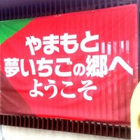 やまもと夢いちごの郷 (@y_yumeichigo) 's Twitter Profile