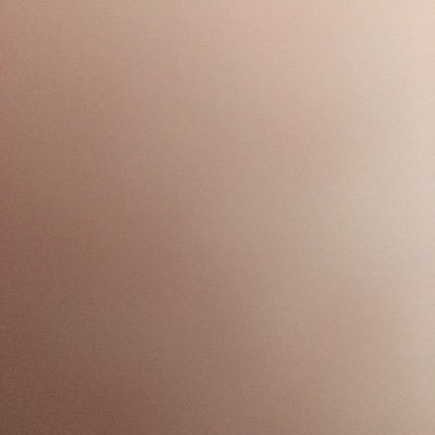 Fxrest_fairy's profile picture. 