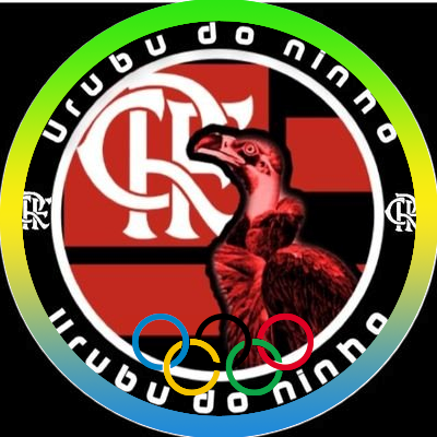 Siga nosso perfil do Instagram: @urubudoninho