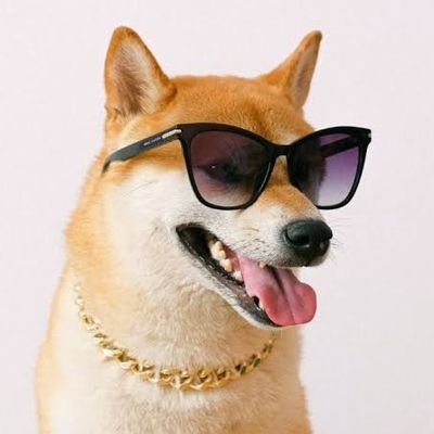 fl08pc9's profile picture. 