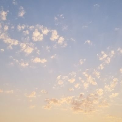 clayonasun's profile picture. spinster, allegedly funny. got my legs from https://t.co/oEpOaTNgZZ