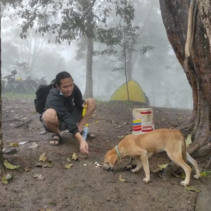 tidak ada cinta di dalam pembalasan