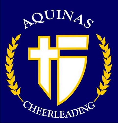 STAsaints_cheer's profile picture. 