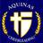 STAsaints_cheer's profile image