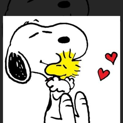 soraai575's profile picture. こんにちわー空藍です。
最近またボチボチですが元気です。　
よろしくお願いします