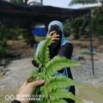 Dr Kamarul Ariffin Nor Sadan On Twitter Mitos Luka Wajib Dicuci Dengan Ubat Kuning Setiap Hari Untuk Elak Jangkitan Ubat Kuning Digunakan Untuk Basmi Kuman Luka Dan Kulit Sekeliling Ketika Cucian Pertama