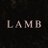 LambMovie's profile image